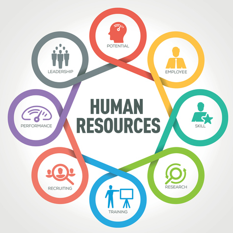 human resource